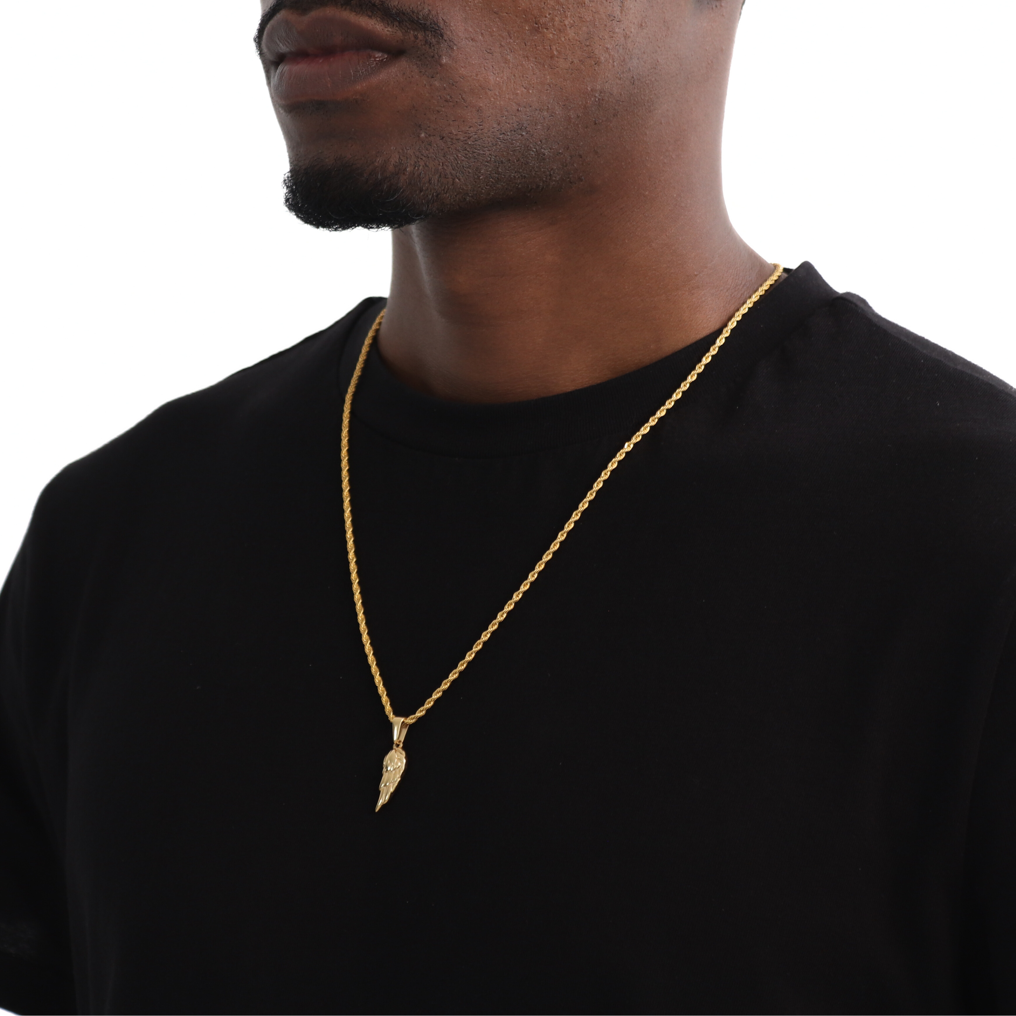 Wing Hanger + Ketting (Goud)