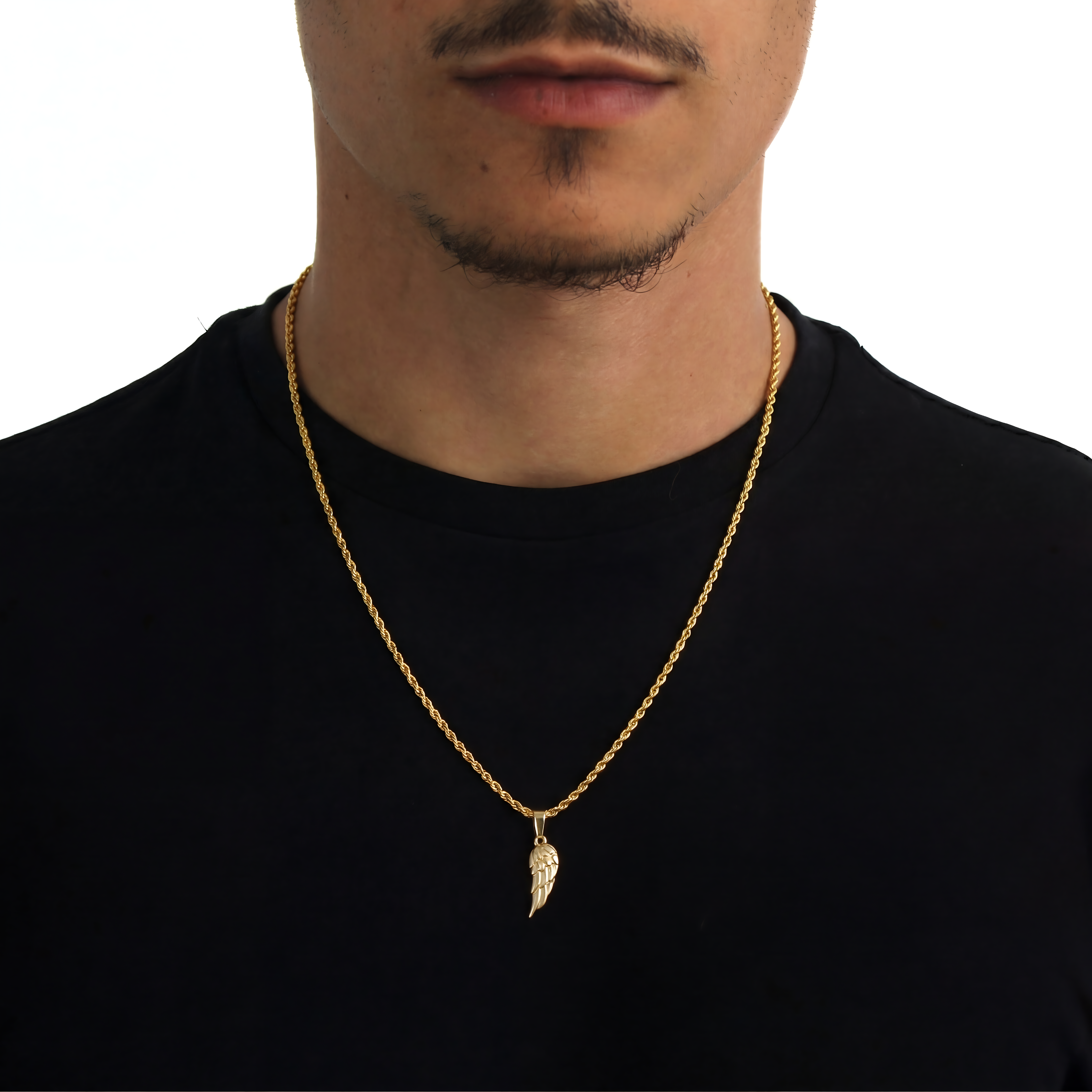 Wing Hanger + Ketting (Goud)