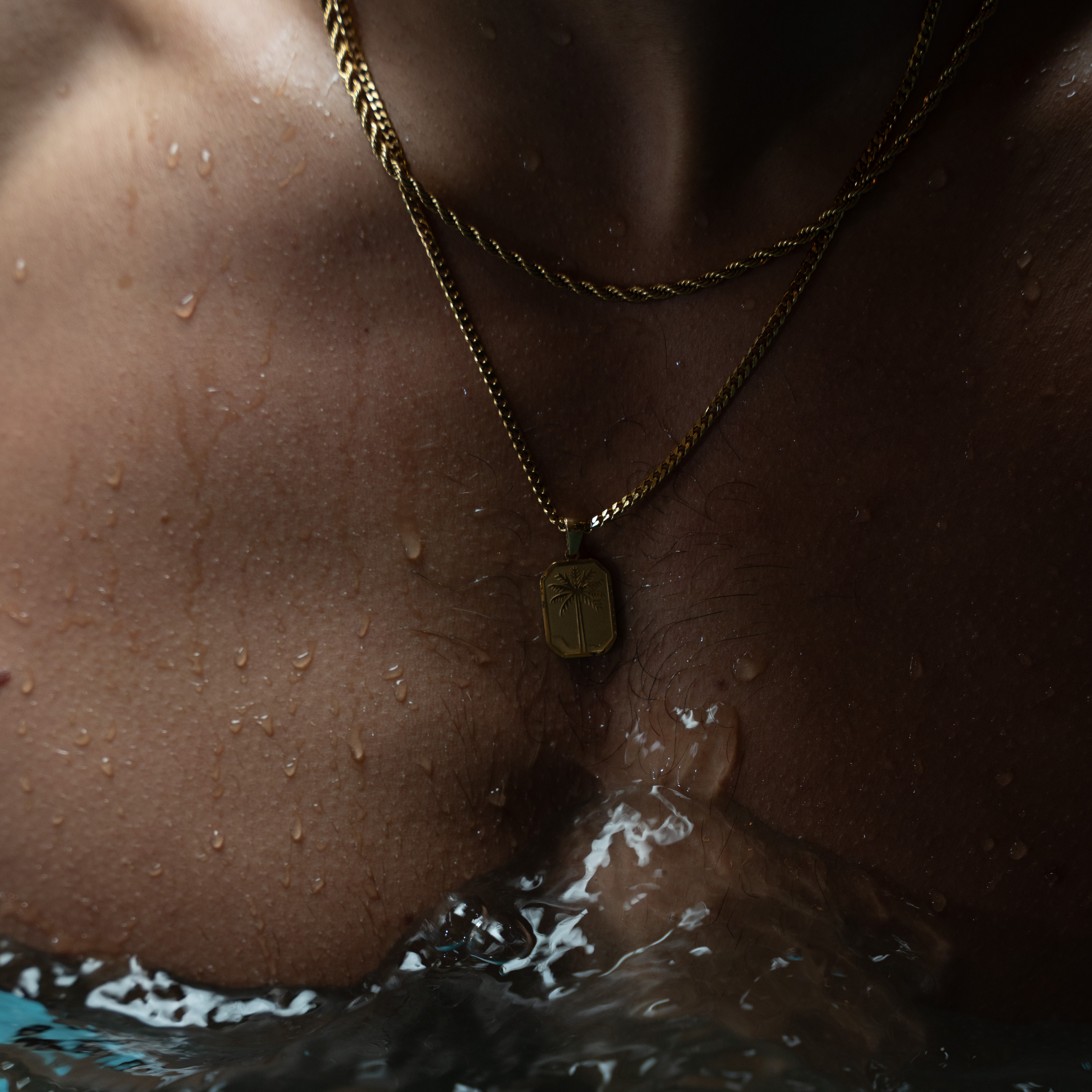 Palm Tree Hanger + Ketting (Goud)