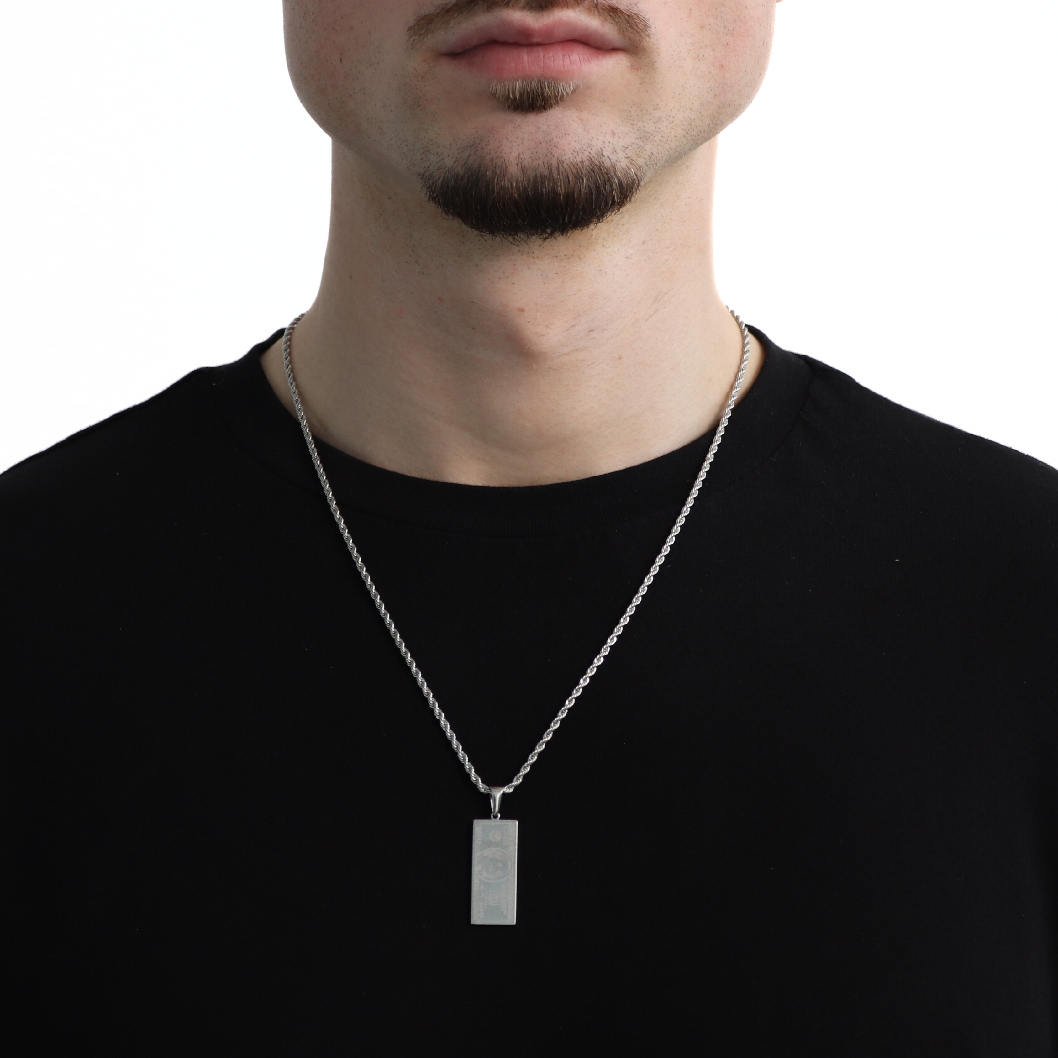 Dollar Pendant + Chain (Silver)