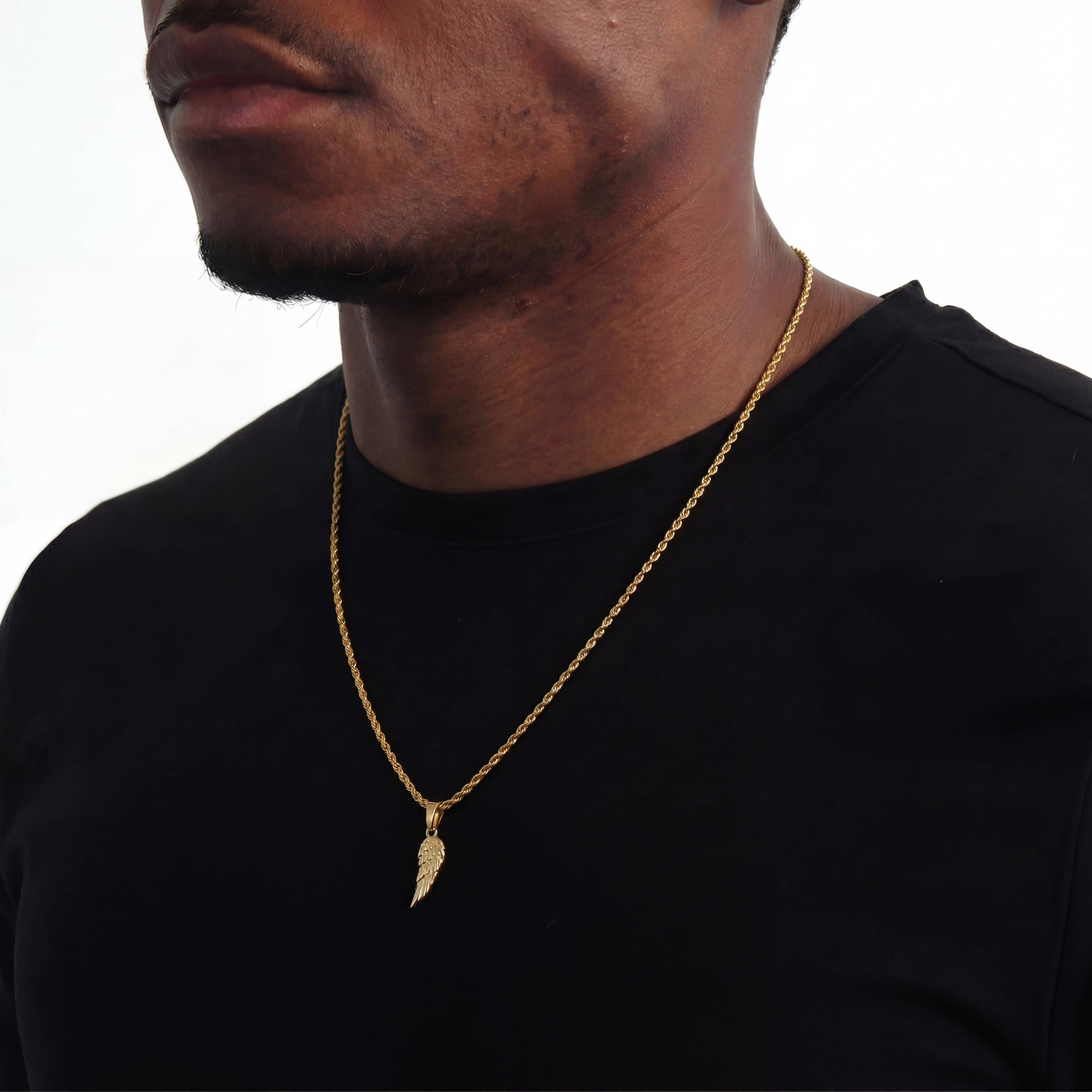 Wing Hanger + Ketting (Goud)